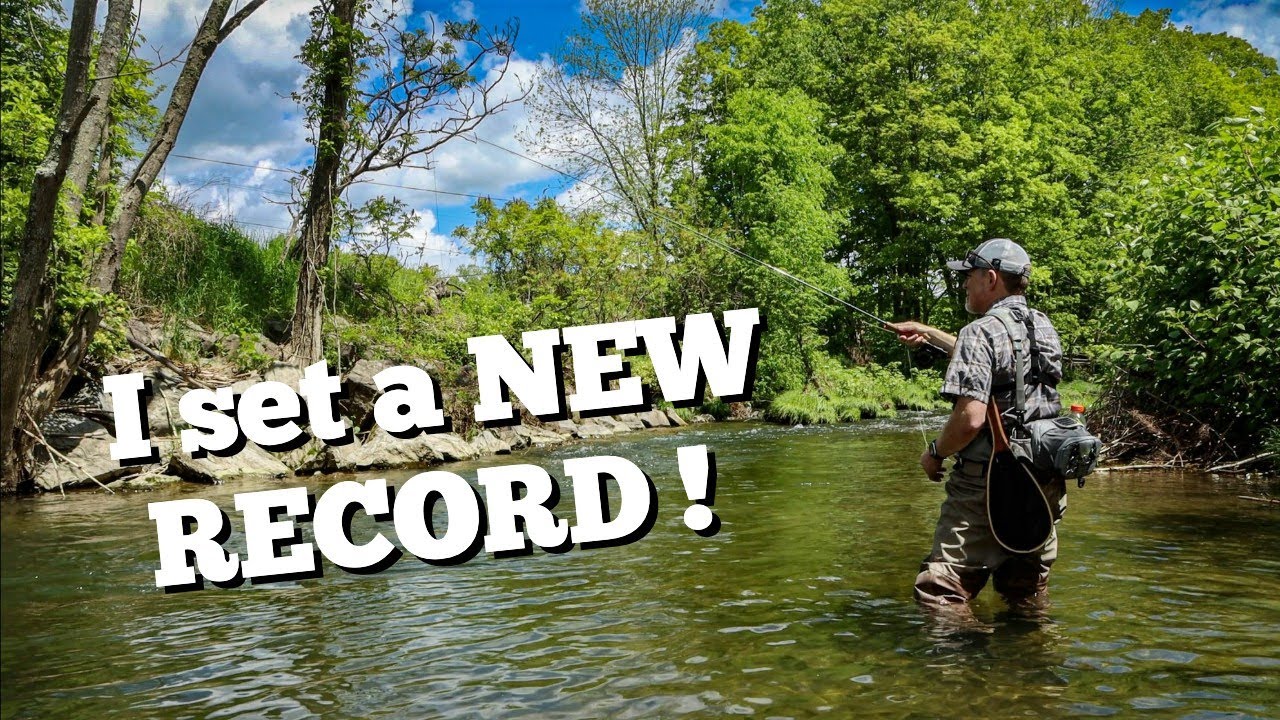 Fly Fishing an Overlooked Creek for Wild Brook and Brown Trout - Central, NY
