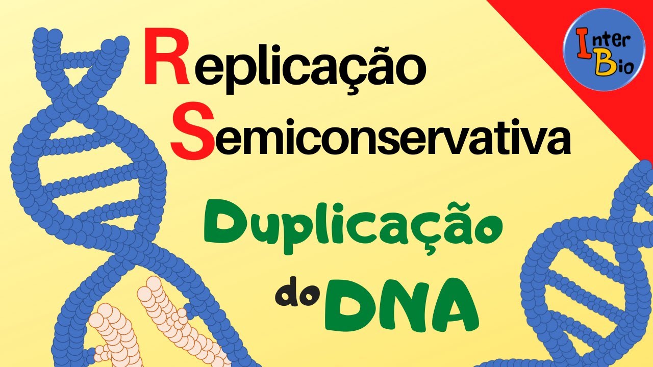 Replicação Semiconservativa (Duplicação do DNA)