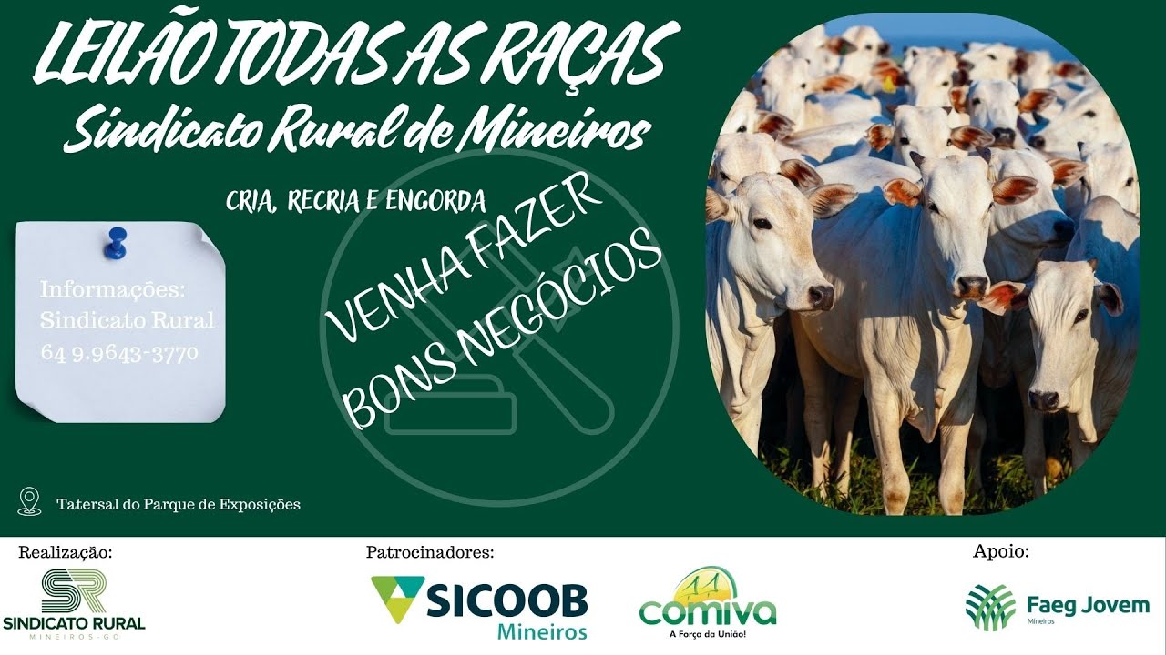 LEILÃO TODAS AS RAÇAS - MINEIROS-GO | 23/02/2026 | 19:30h