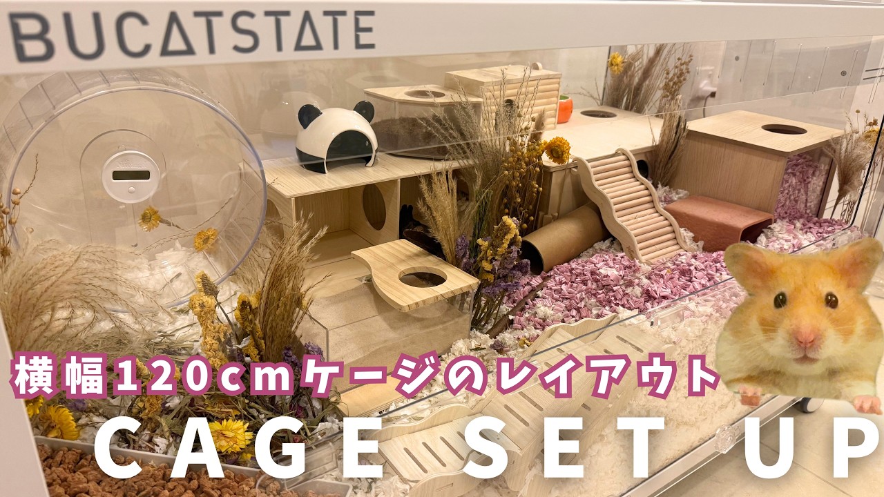異次元！ハムスターの楽園を完全再現✨BUCATSTATE1.2m巨大ケージ【セットアップ＆レイアウト紹介】