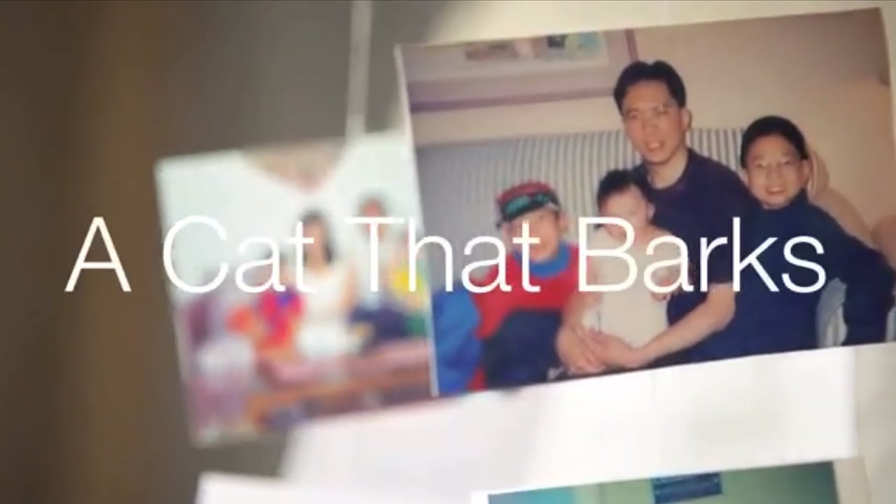 A Cat That Barks (Not Speaking Parents' Language)
