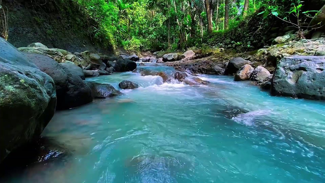 Flowing Mountain Stream Water Audio, Forest River, Sleep