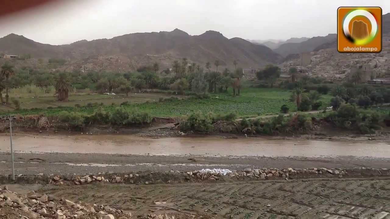 سيل وادي عياء الدحلة بللسمر الاثنين 1434/06/19هـ (HD)