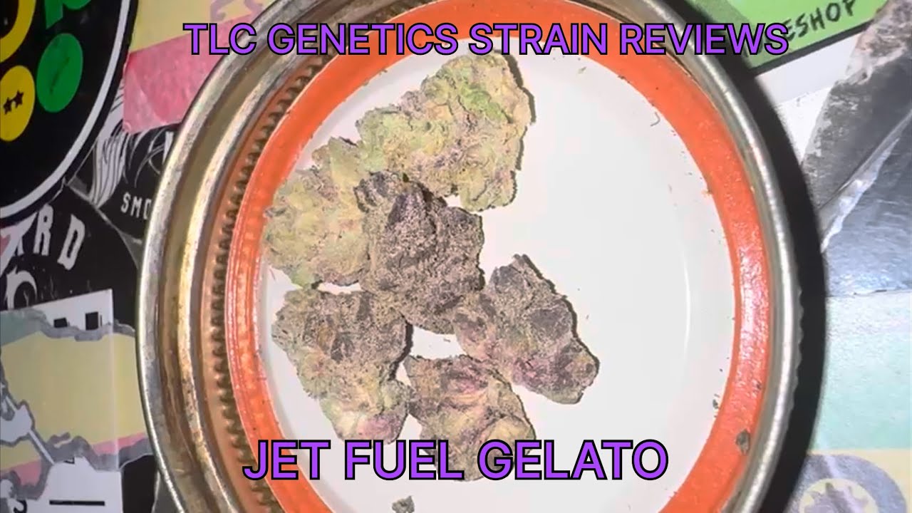 The TLC Genetic Show : Jet Fuel Gelato (Strain Review)