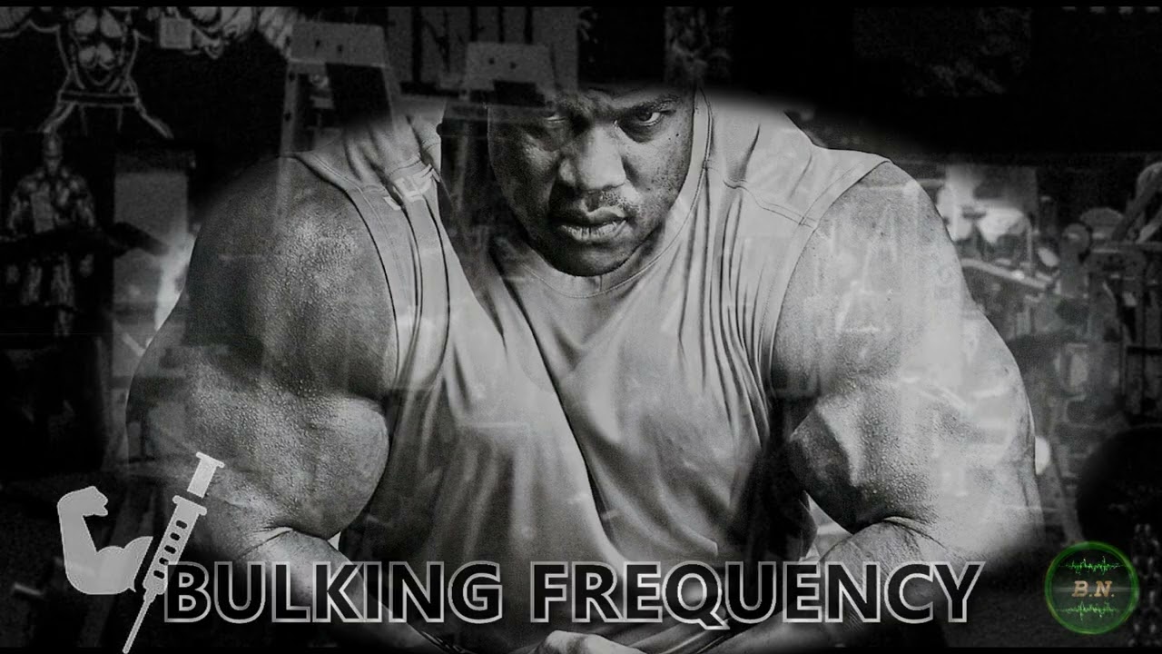 BULKING FREQUENCY - get the most out of the bulk
