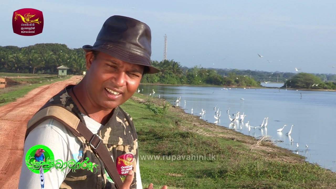 Sobadhara - සොබාධාරා | Season 2 | Episode - 41 | 2018-10-26 | Rupavahini Documentary