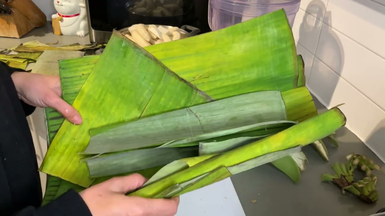 Making the green banana masa for pasteles