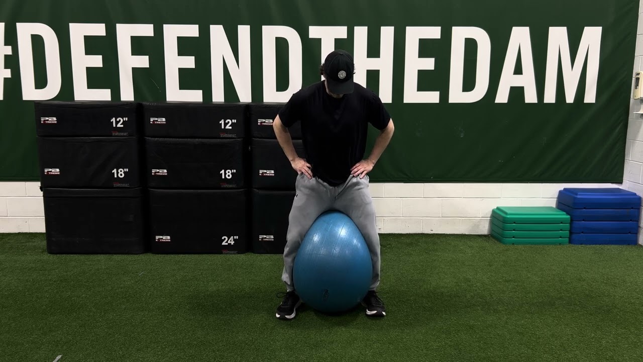 Hip Adduction | Ball | OVR