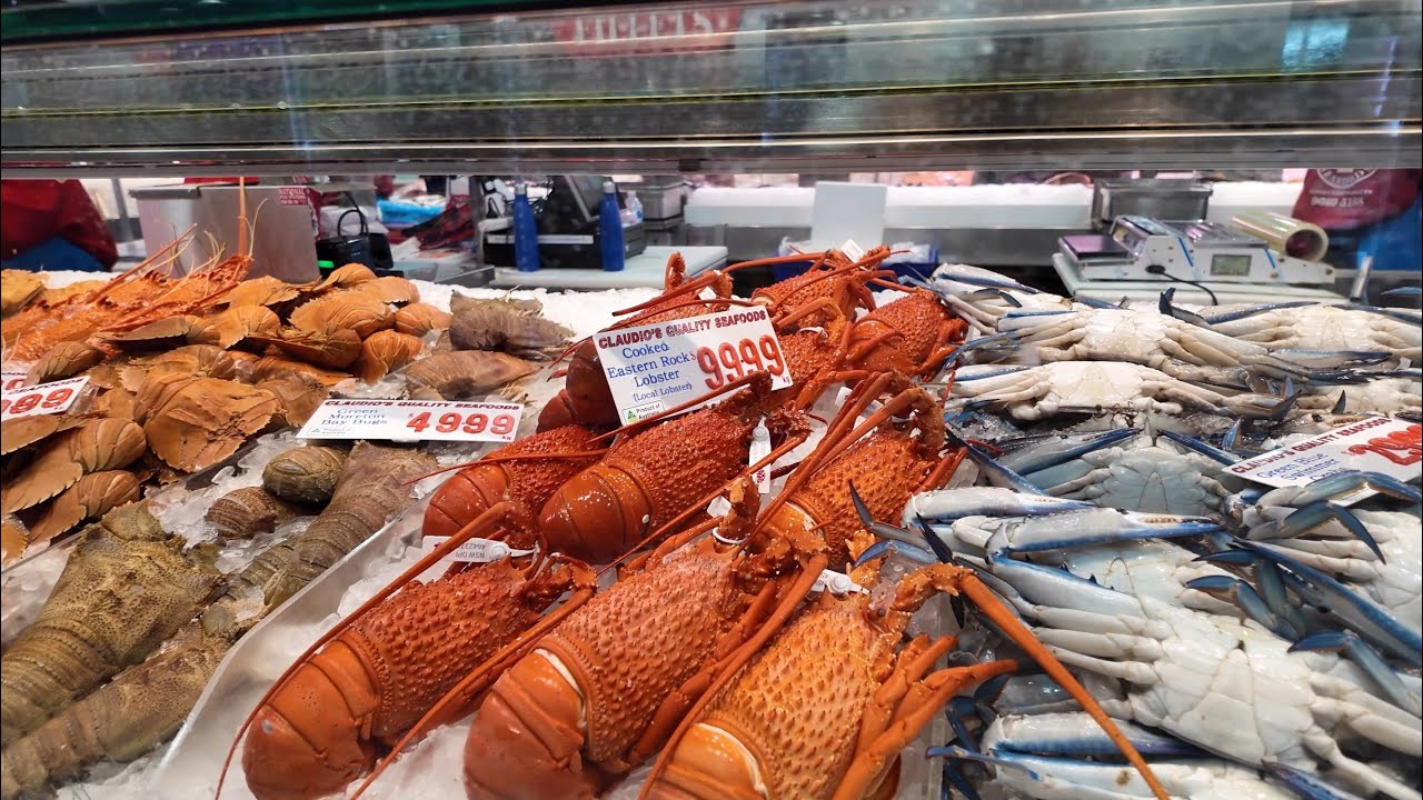 HẾT HỒN VỚI GIÁ Ở CHỢ CÁ SYDNEY FISH MARKET