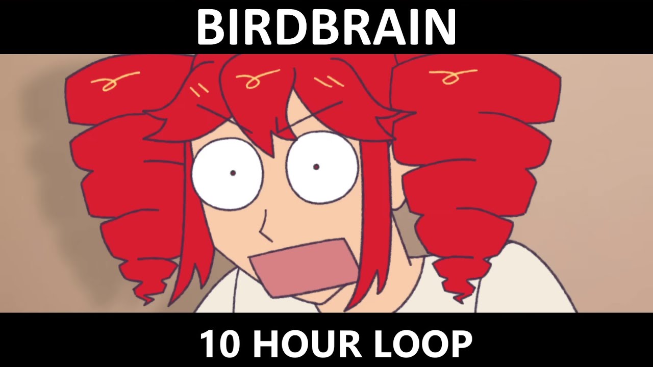 BIRDBRAIN [10 hour loop]