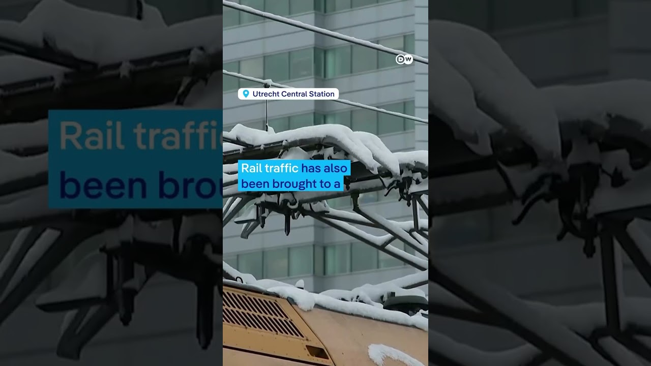 Netherlands hit by winter mayhem