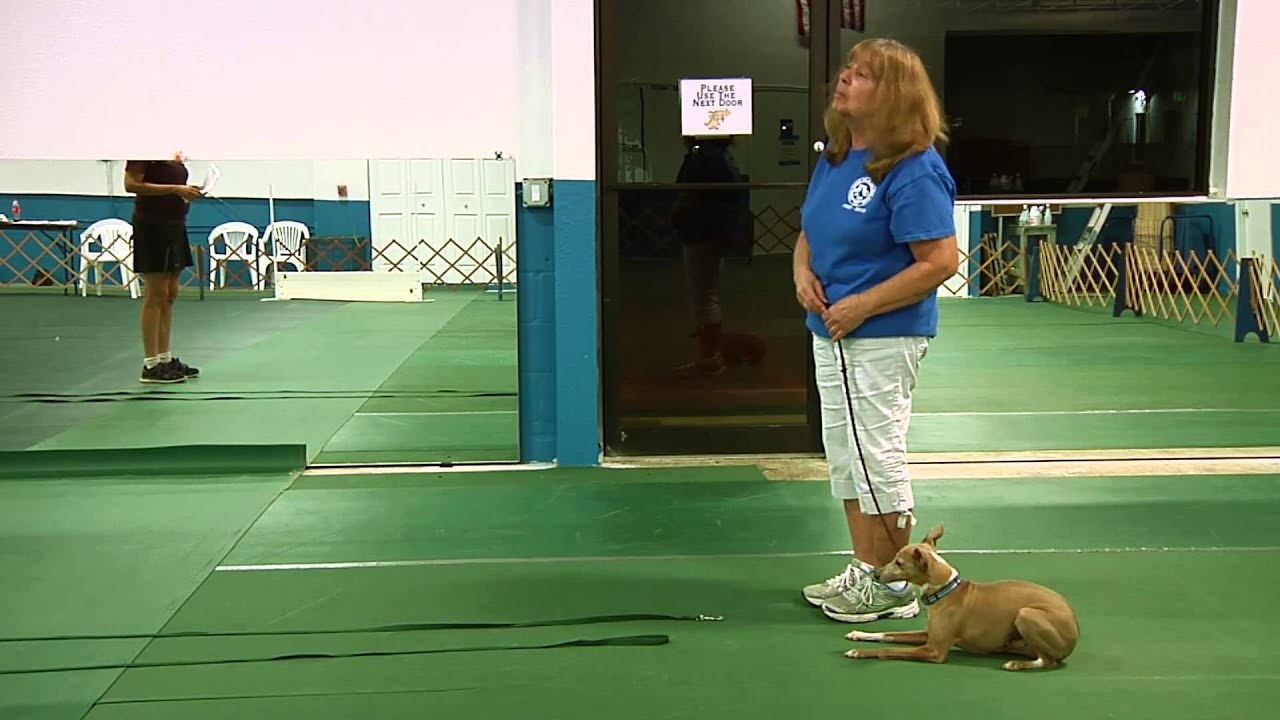 OTCPBC - CGC Items Video