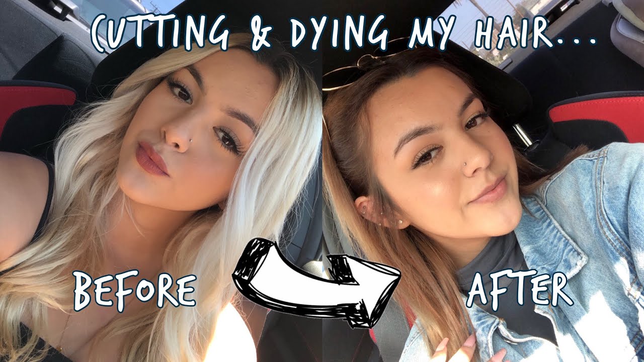 ULTIMATE HAIR TRANSFORMATION: BLONDE TO BROWN