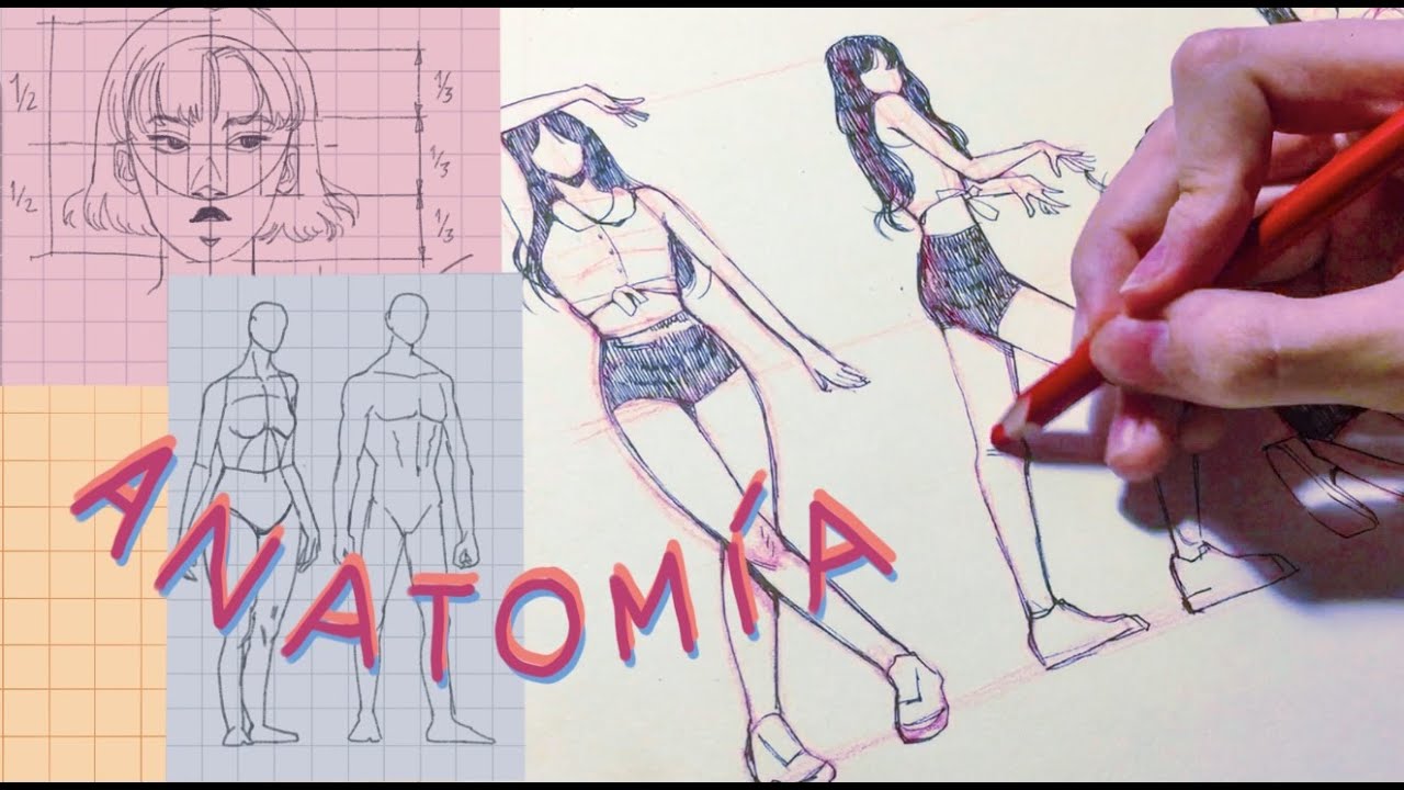 cómo dibujar anatomía / maneras de practicar / alma luna