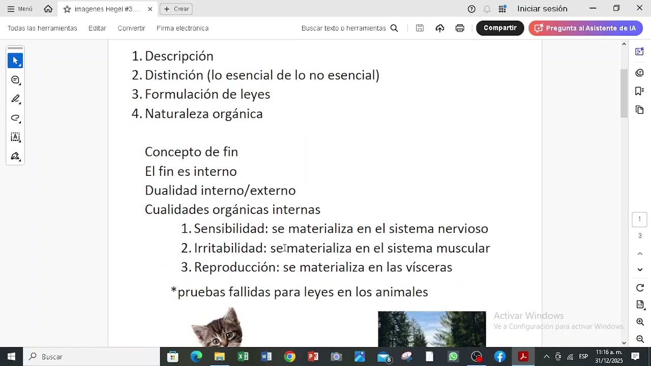 sección titulada razón de la fenomenología del espíritu