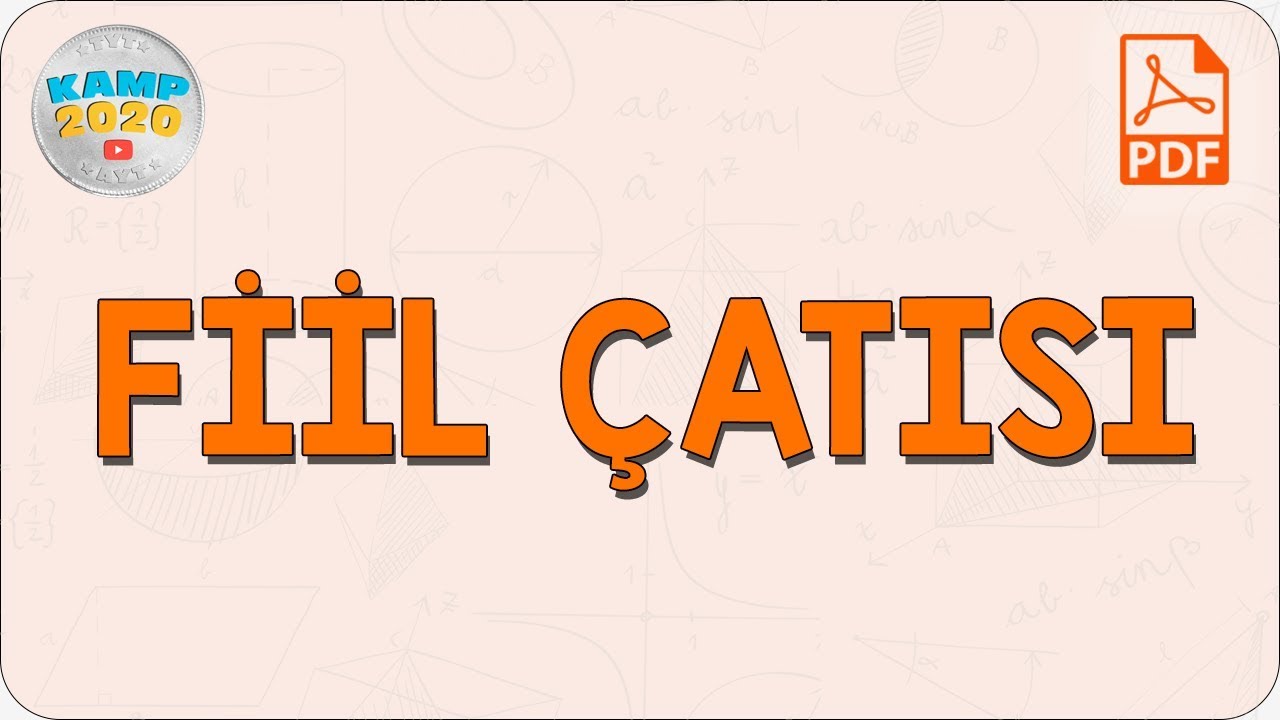 Fiil Çatısı | Kamp2020