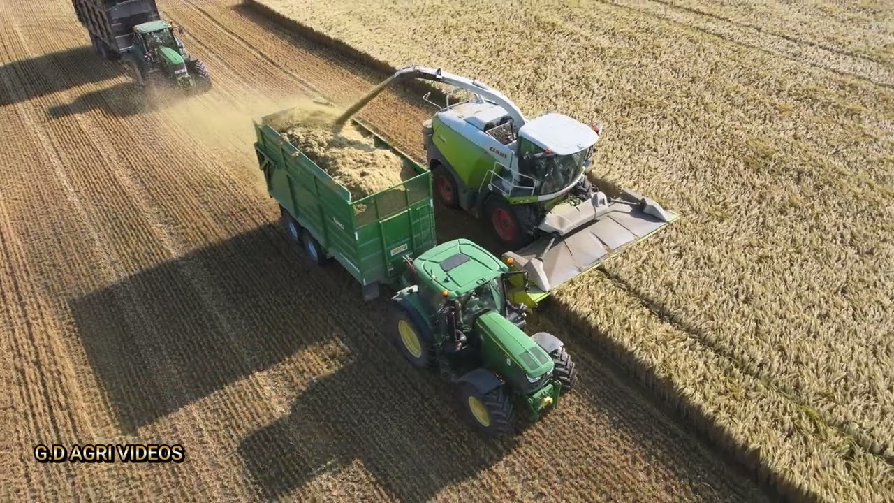 Class 980 chopping wholecrop.