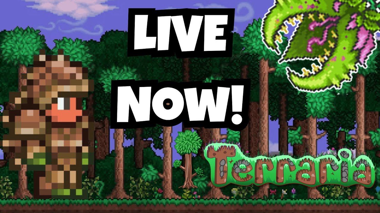 Can a noob speedrun the Wall of Flesh? IM LIVE!