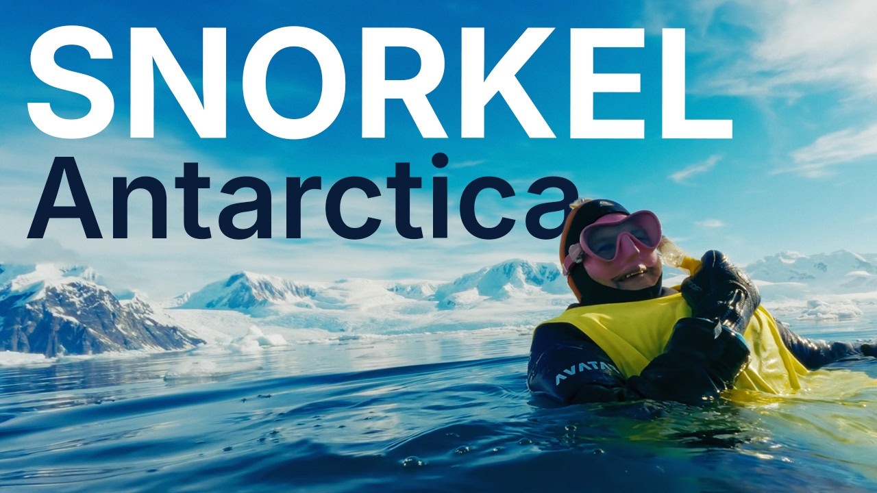 Antarctica Snorkelling Adventure: Explore Beneath the Icy Surface | Aurora Expeditions