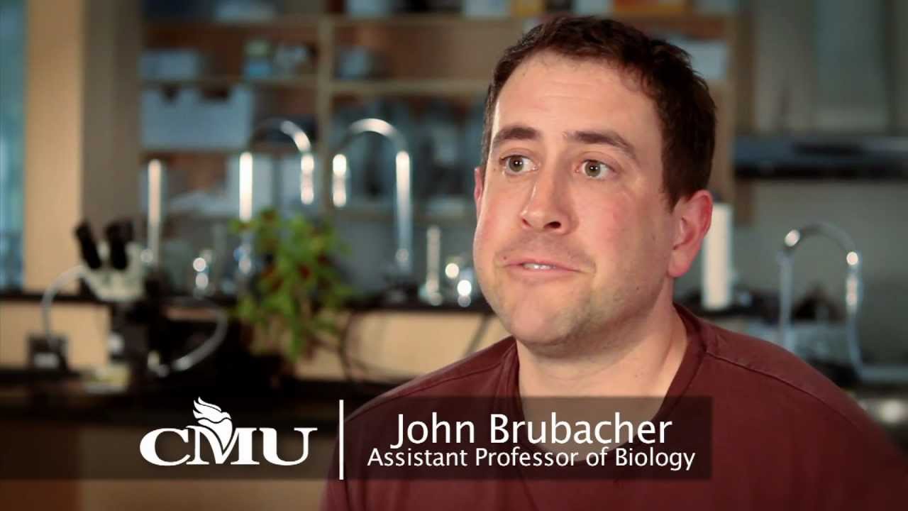 Canadian Mennonite University - About CMU