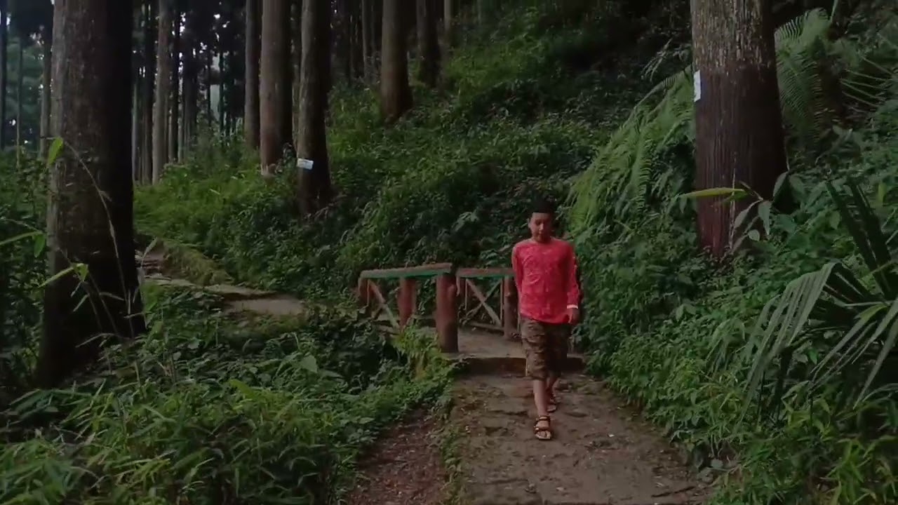 Stay at Darjeeling Lamahatta Residency.Walk to natural pond.