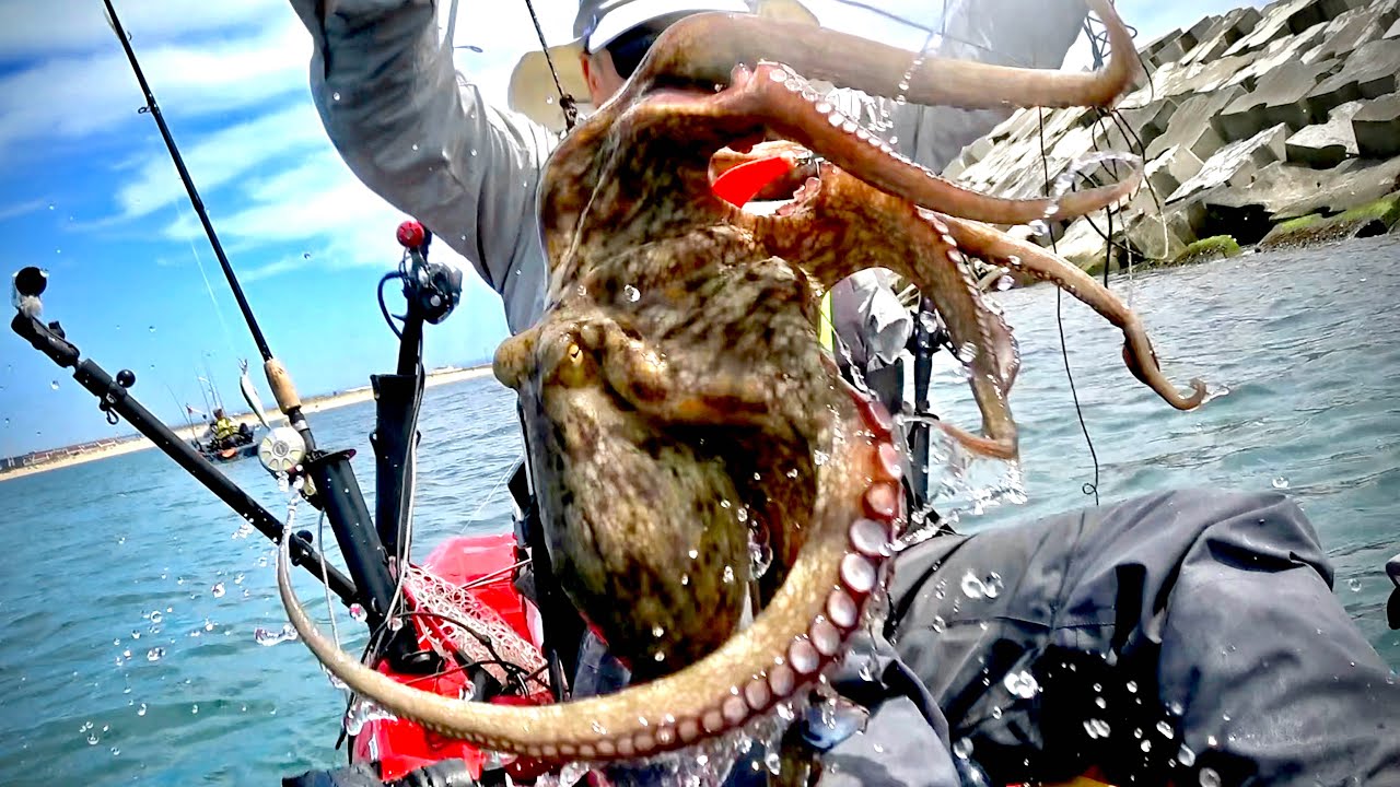 Octopus Fishing -  Extreme Kayak Fishing