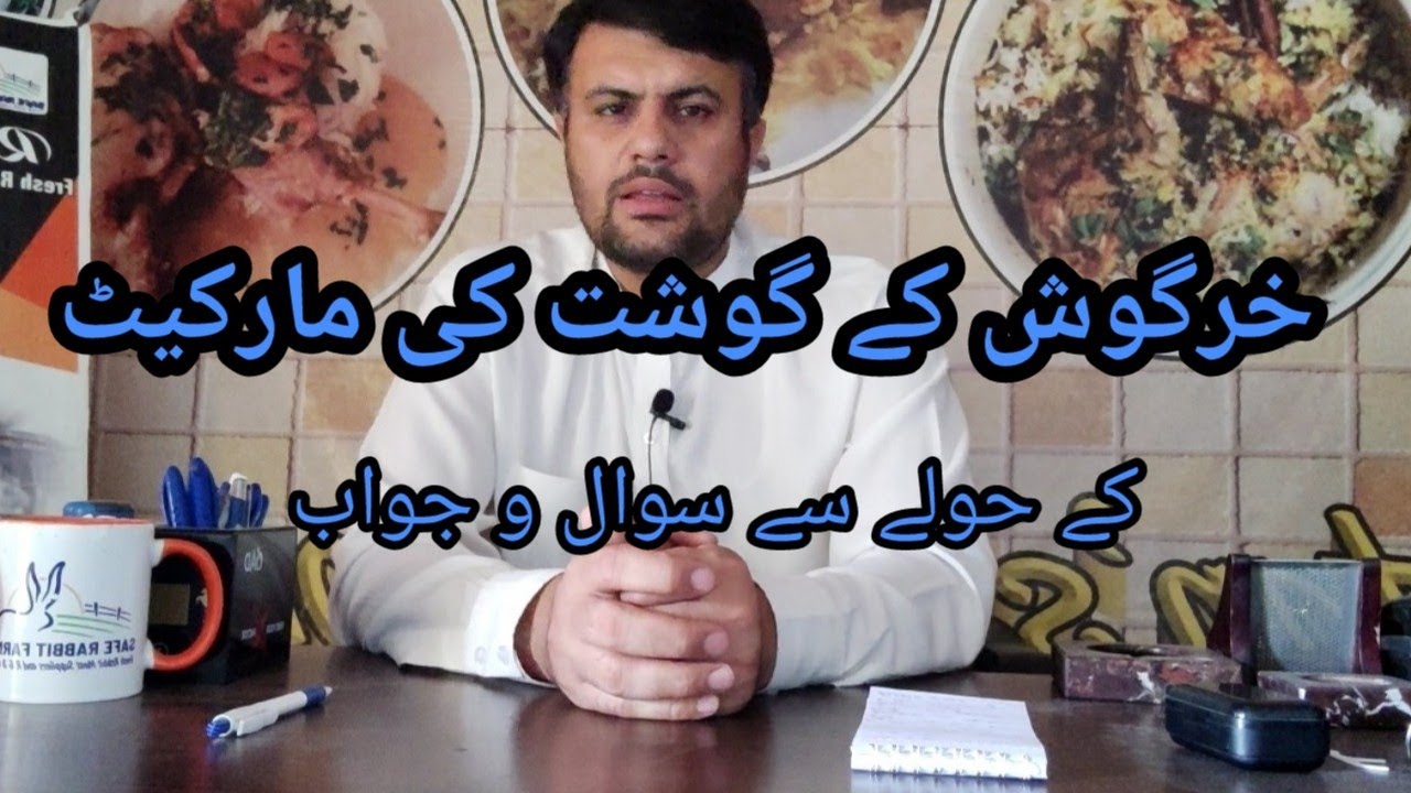 Question/Answer about Rabbit Meat Market// خرگوش کے گوشت کی  مارکیٹ کے حوالے سے سوال و جواب