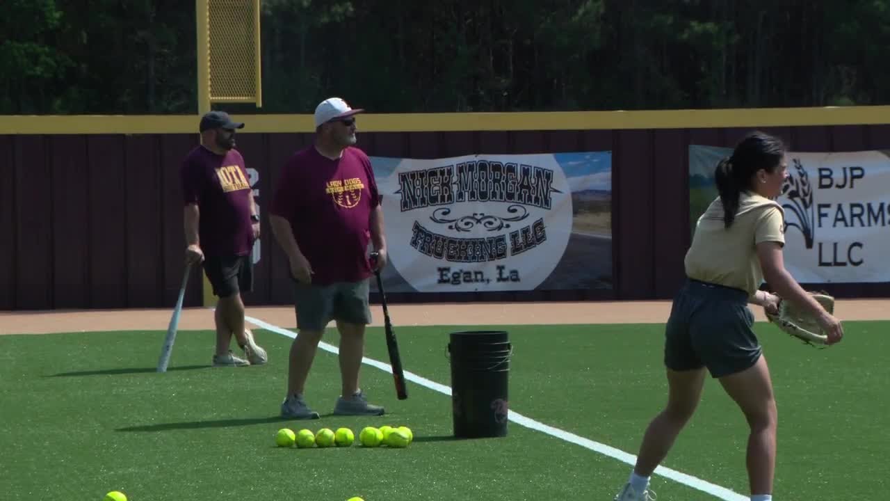 Underdog Iota softball chasing history after 22-year semifinal return