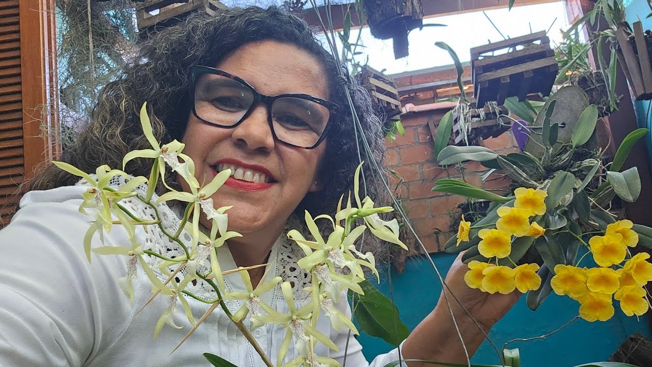 COMO CULTIVAR  SUAS ORQUÍDEAS ! DICAS INFALÍVEIS. PRIMAVERA  PARTE 2