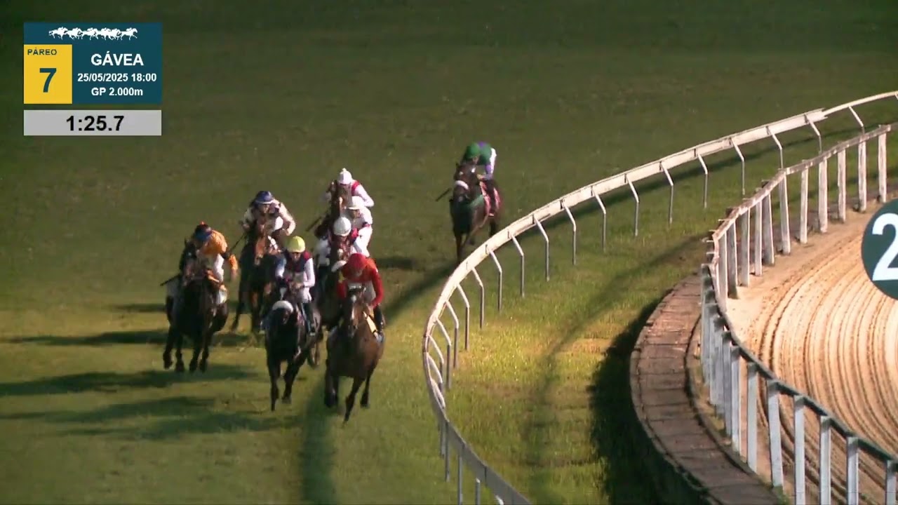 Gávea 25/05/2025 Páreo 07