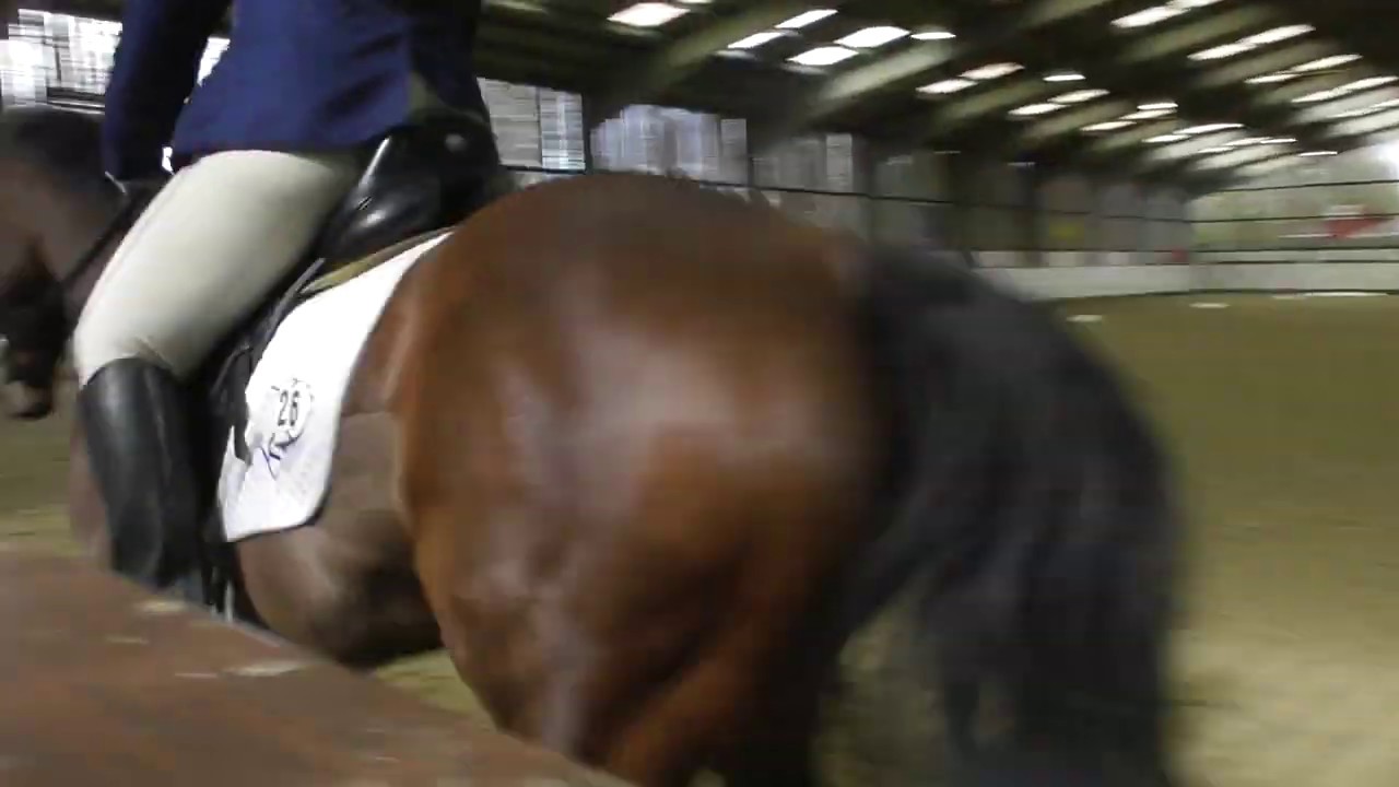 BCA Novice 22 March 2019