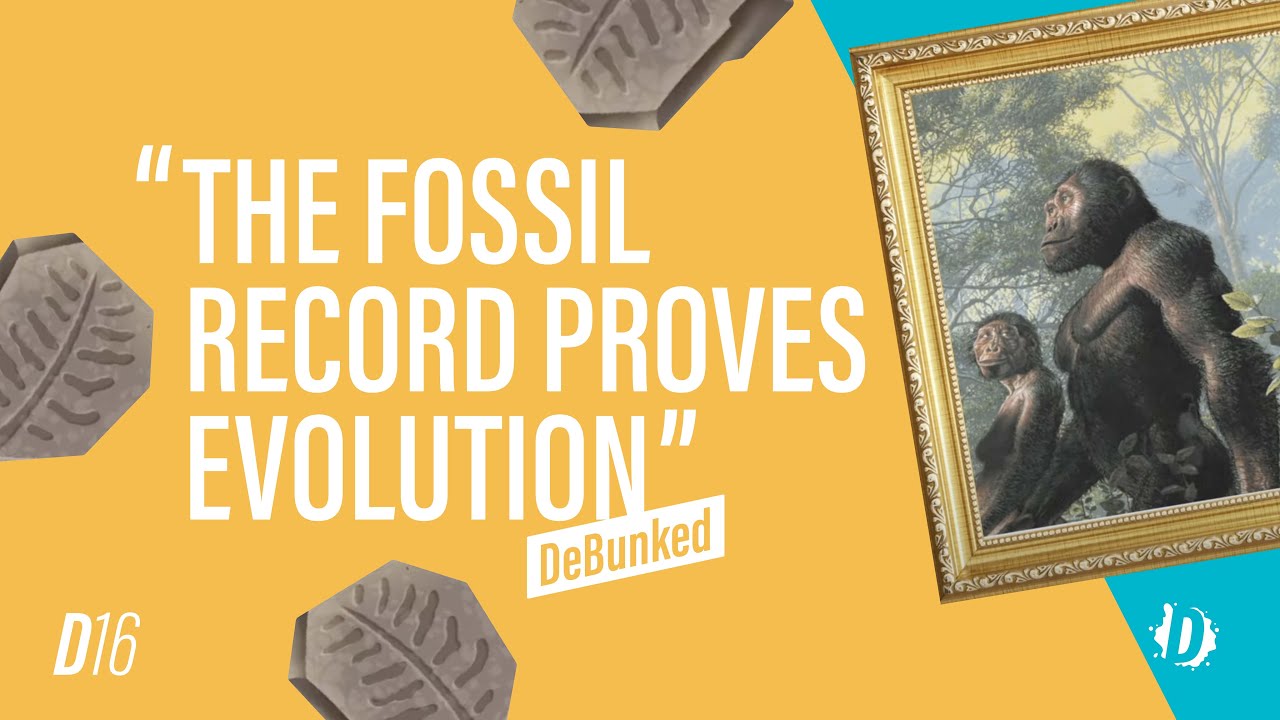 D16 | The Fossil Record Proves Evolution - Debunked