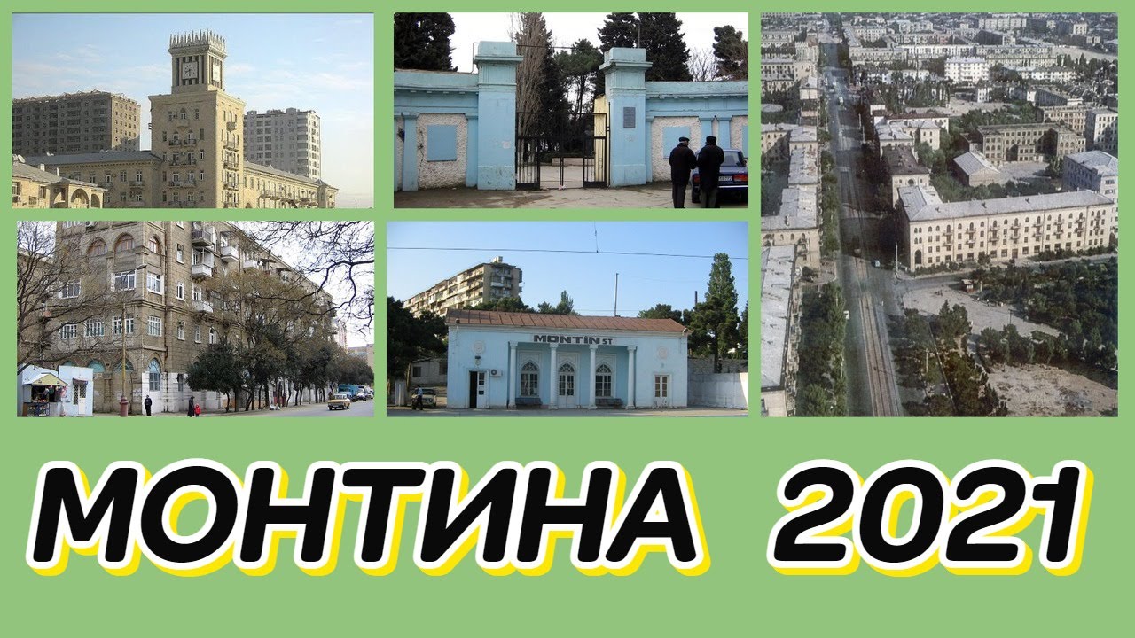 МОНТИНА 2021
