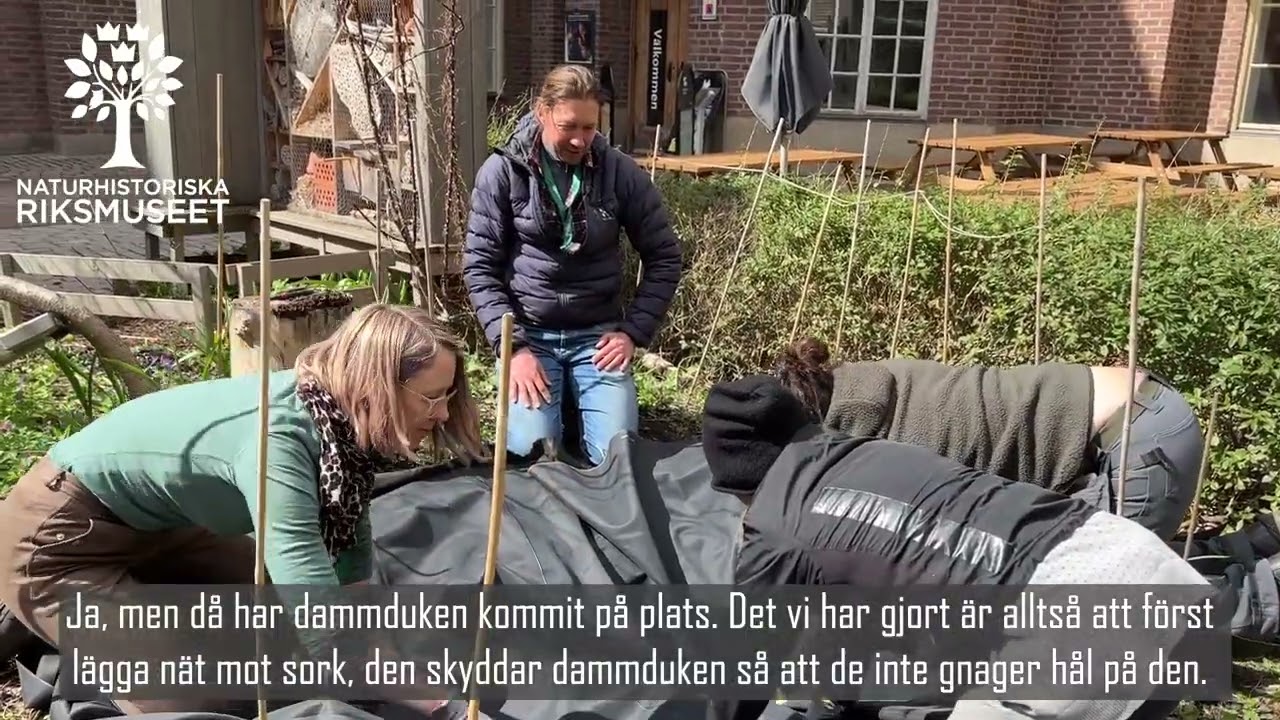Så trivs djur i dammar