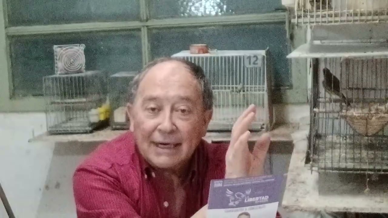 #° 34  Un poquito de genética y cruce en los canarios 🐦