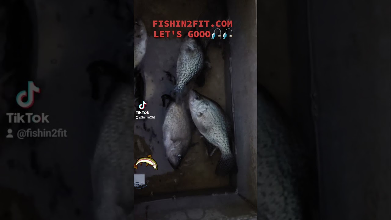 Catching crappie on the chickahominy River in virginia. 🎣💪🏾