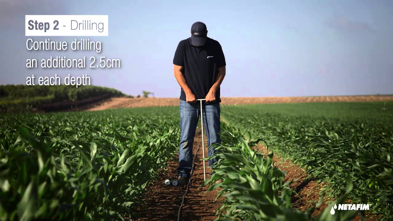 Tensiometers for corn crops