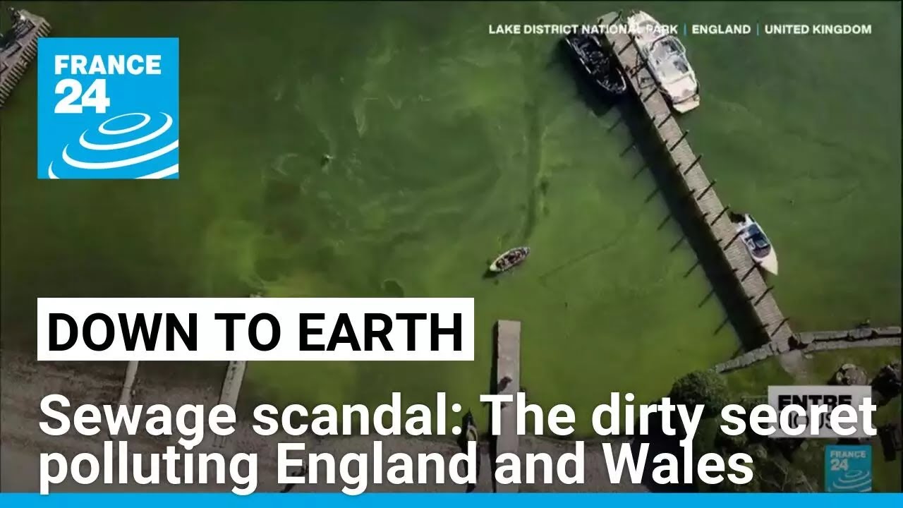 Sewage scandal: The dirty secret polluting England and Wales &bull; FRANCE 24 English