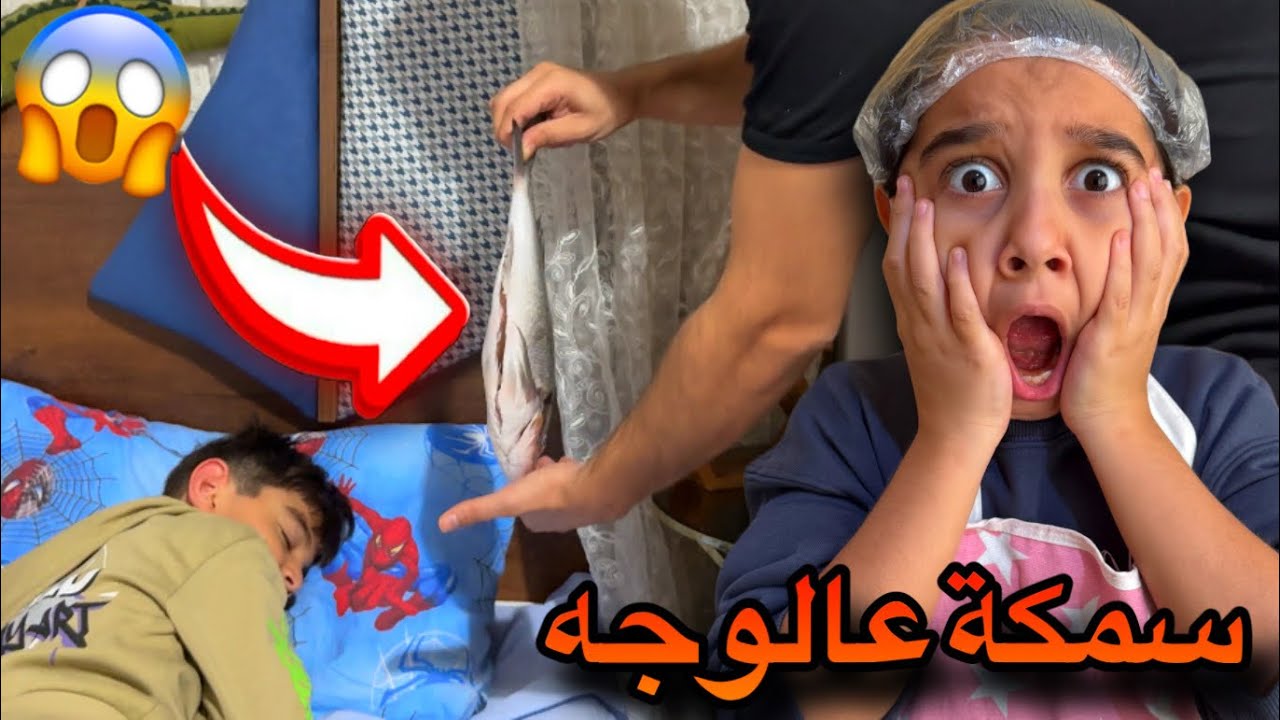 أكبر مقلب بعموري 😂 سمكة جنب راسو وهو نايم!! 🐠 😂