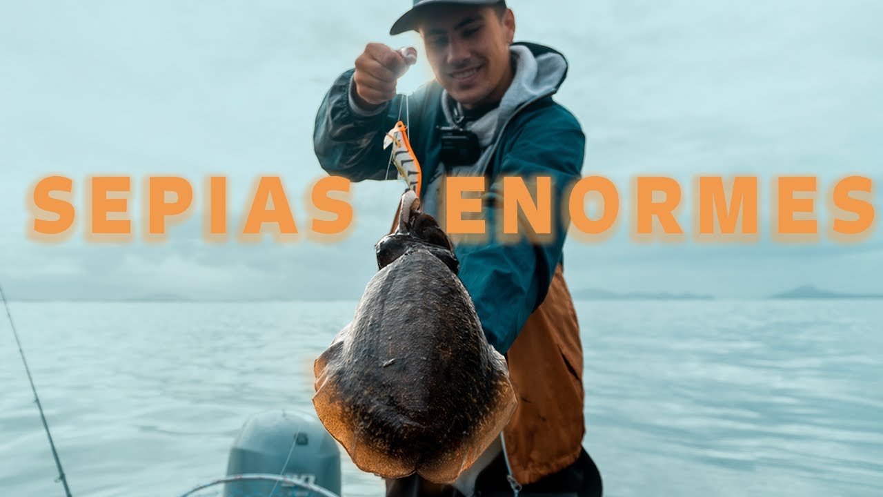 SEPIAS GIGANTES 🐙 *Jornada de Eging BRUTAL*