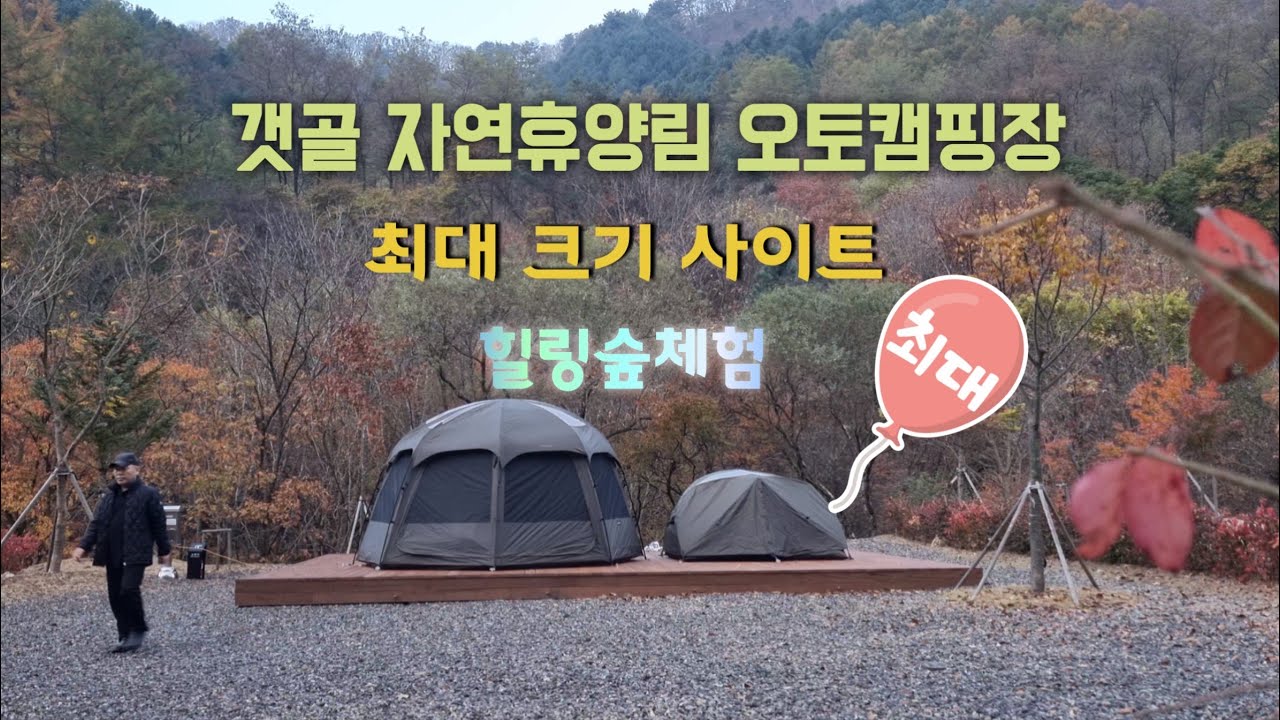 갯골 자연휴양림 오토캠핑, 최고 크기의 사이트, 최고 숲체험, 최신 휴양림 독립 오토캠핑장