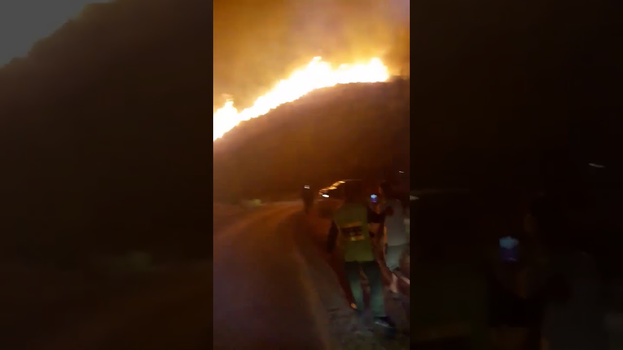 حريق افرني يدمر 20 الف شجرة زيتون و يحاصر منزل وزير الداخلية لفتيت بثفرسيث