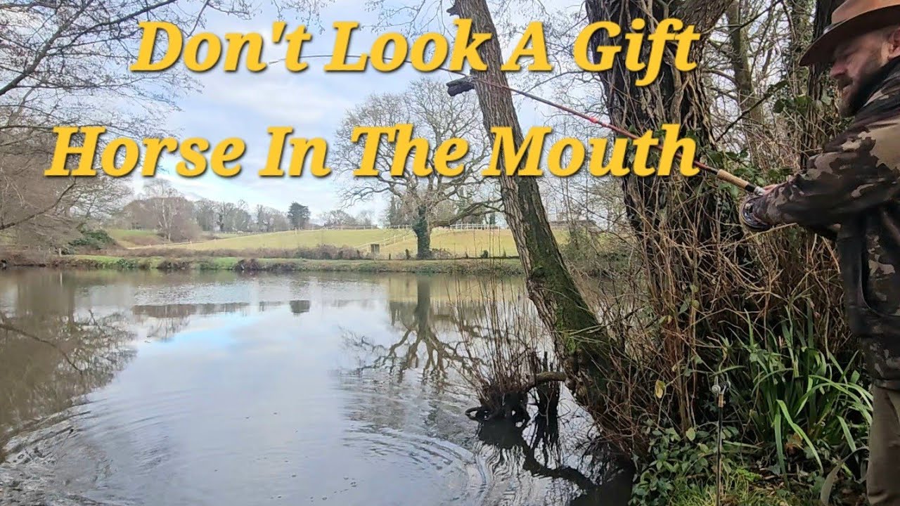 A BIG Surprise At The Horse Pond!