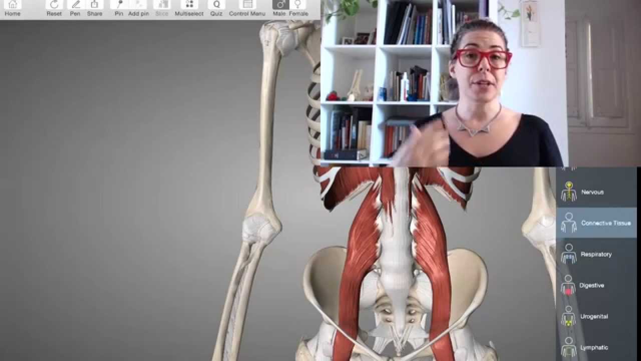 cómo desbloquear el diafragma