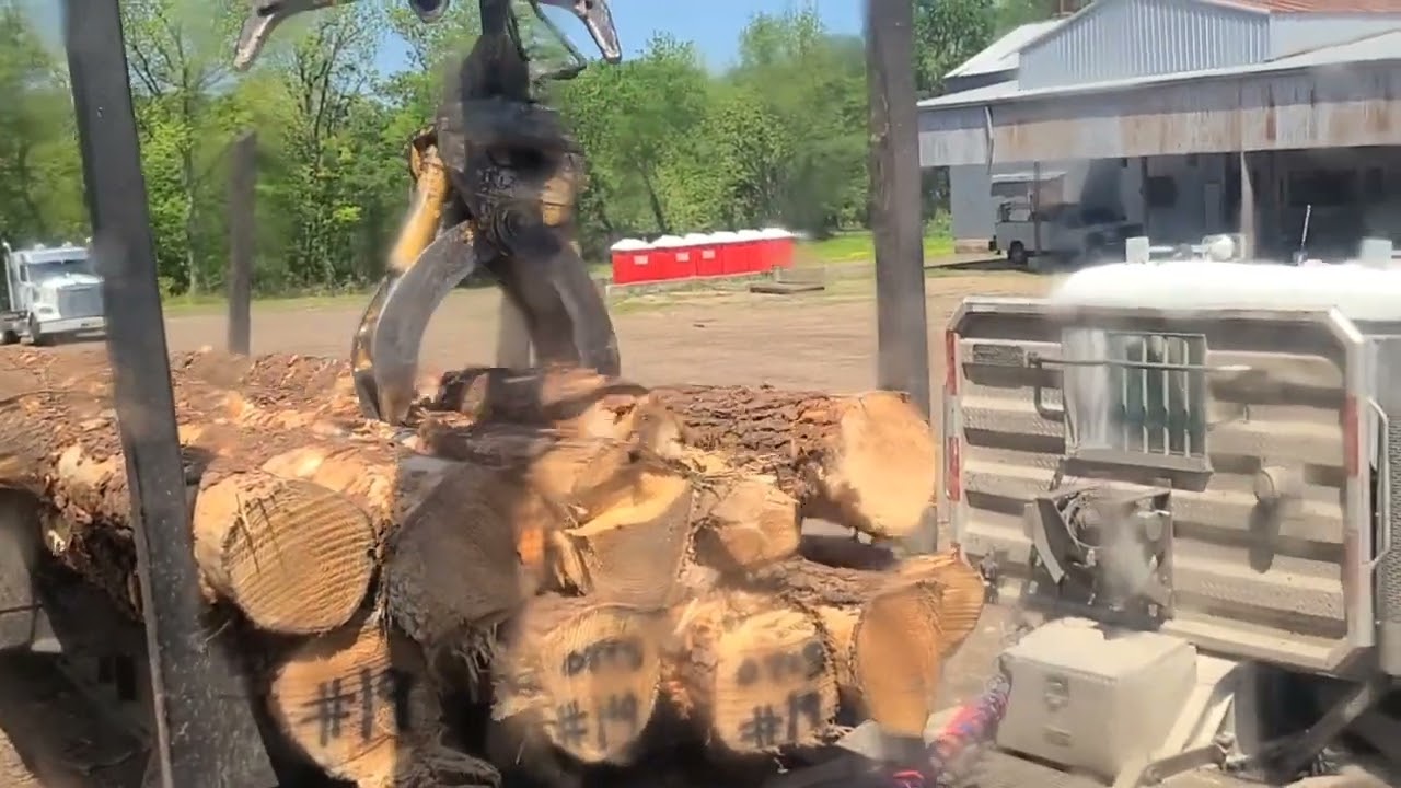 Unloading 2 Trucks At Sametime‼️ #1stAnnualCentralMsLoggingExpo #June25th2022 #subscribe