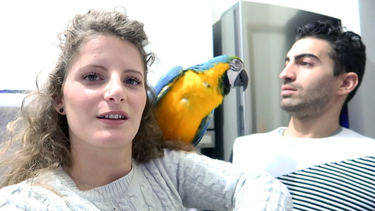 🌲 #VLOGMAS 04 FINIAMO DI FARE I REGALI #GIORDYESAMY