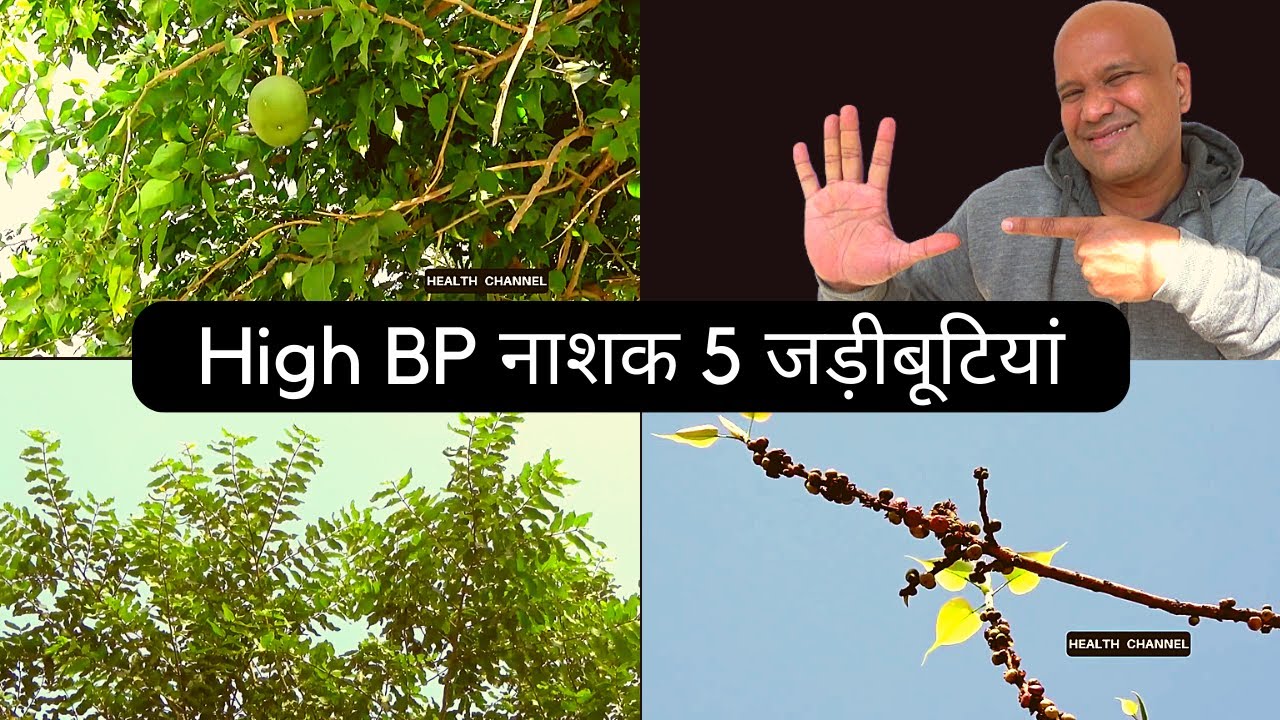 High BP will be eradicated completely in 15 days On Health Channel by Vishal Sathye