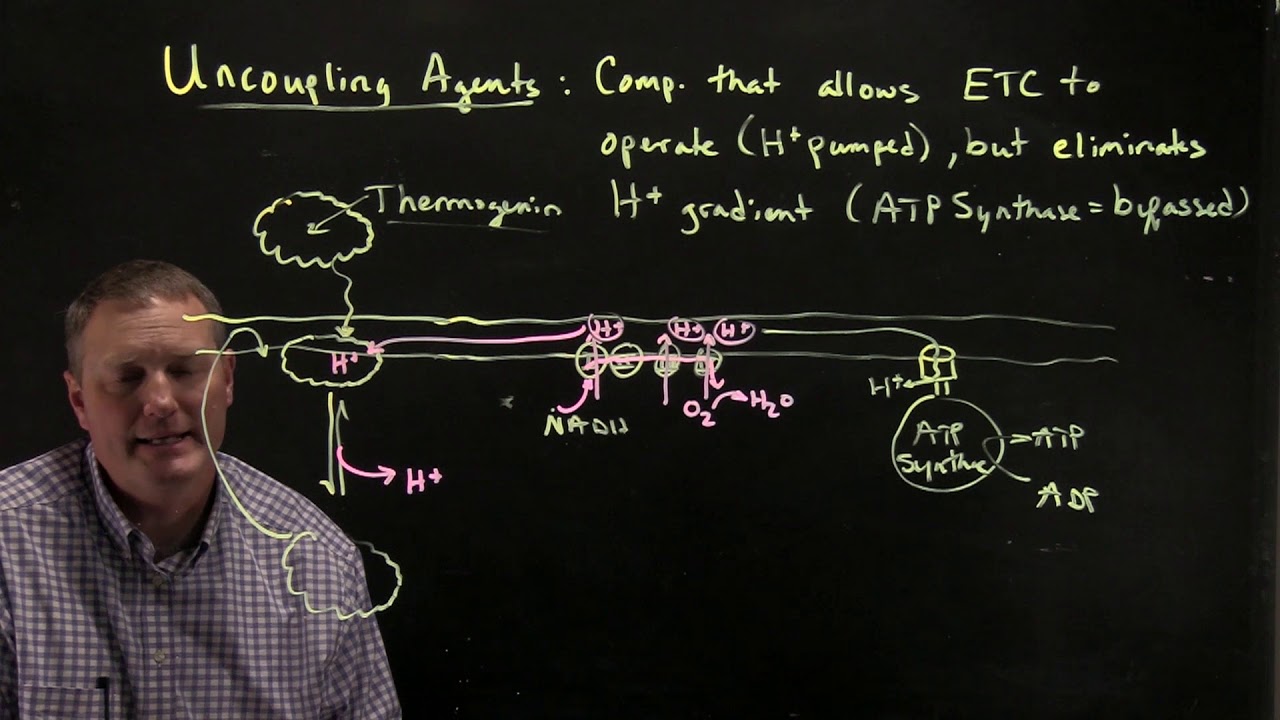 Uncoupling Agents