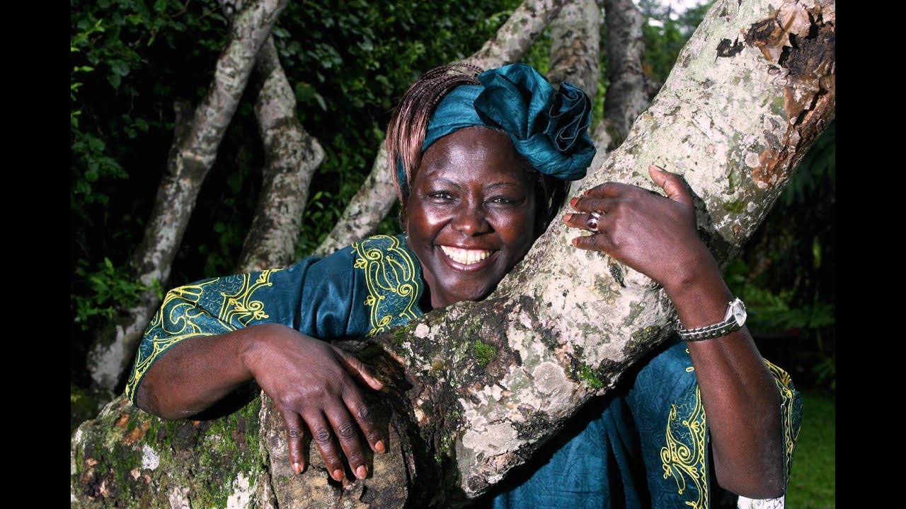 Mujeres activistas Medio Ambiente