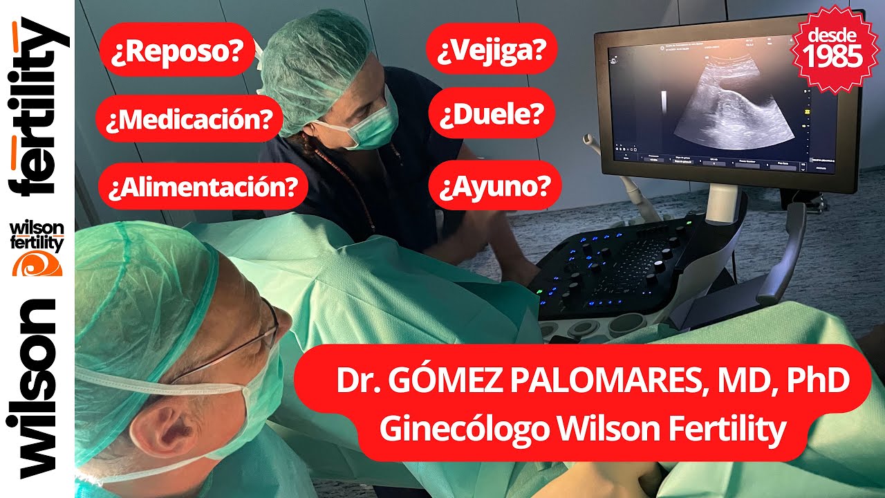Transferencia embrionaria: 10 cosas que es imprescindible que sepas #transferdeembriones